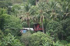 Pang Deng (Doi Saket)