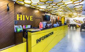 The Hive Chiang Mai