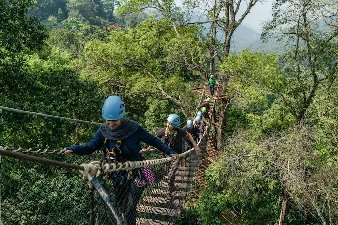 Kingkong Smile Zipline