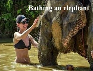 ดอยอินทนนท์ — ยอดเขาที่สูงที่สุดในประเทศไทย 6 %E0%B8%8A%E0%B9%89%E0%B8%B2%E0%B8%87%E0%B8%AD%E0%B8%B2%E0%B8%9A%E0%B8%99%E0%B9%89%E0%B8%B31