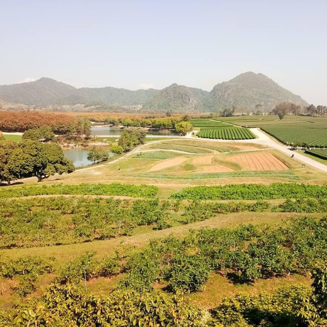 Read more about the article Small Hidden Cities in Northern Thailand Worth Exploring