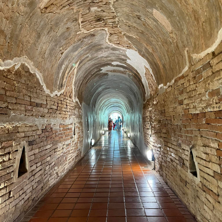 Read more about the article Hidden but Stunning