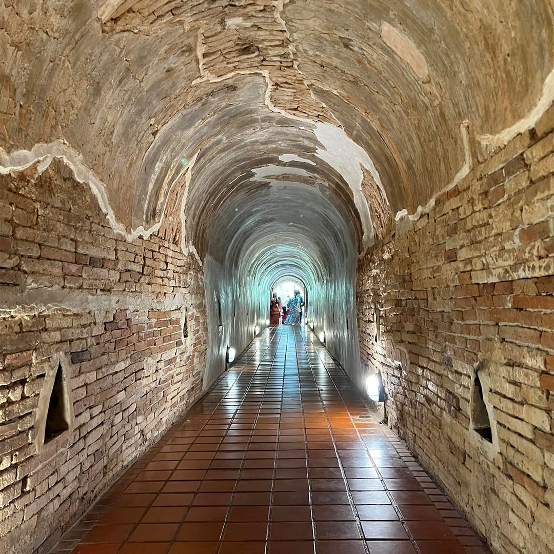 Read more about the article Hidden but Stunning