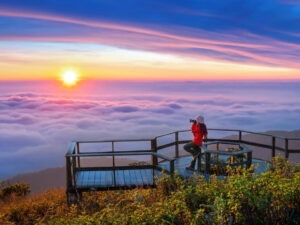 Doi Inthanon Private Day Tour Chiang Mai
