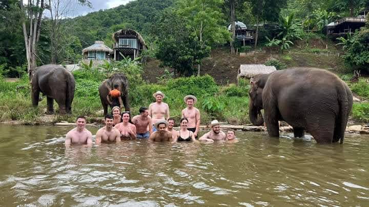 Chiang Mai Elephant Sanctuary & Sticky Waterfall Private Tour