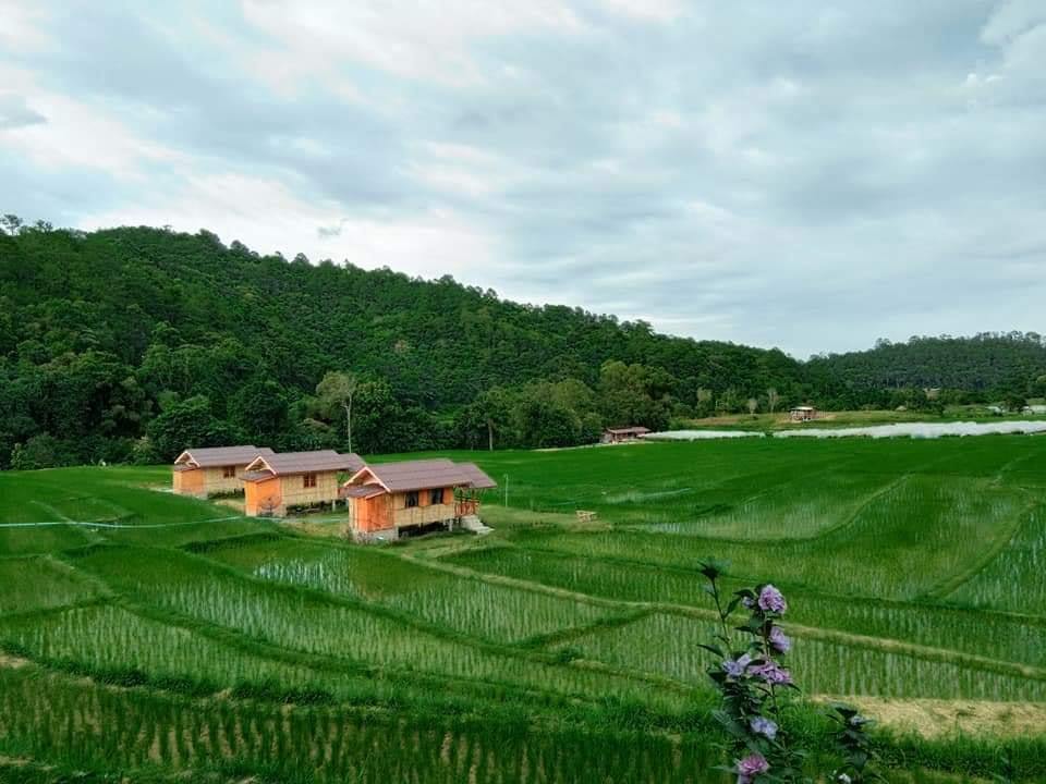 69115154_2477992702258297_6437484033365508096_n Mae Klang Luang rice terraces