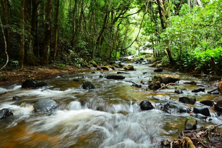 Read more about the article Best Private Day Trips from Chiang Mai for First-Time Visitors