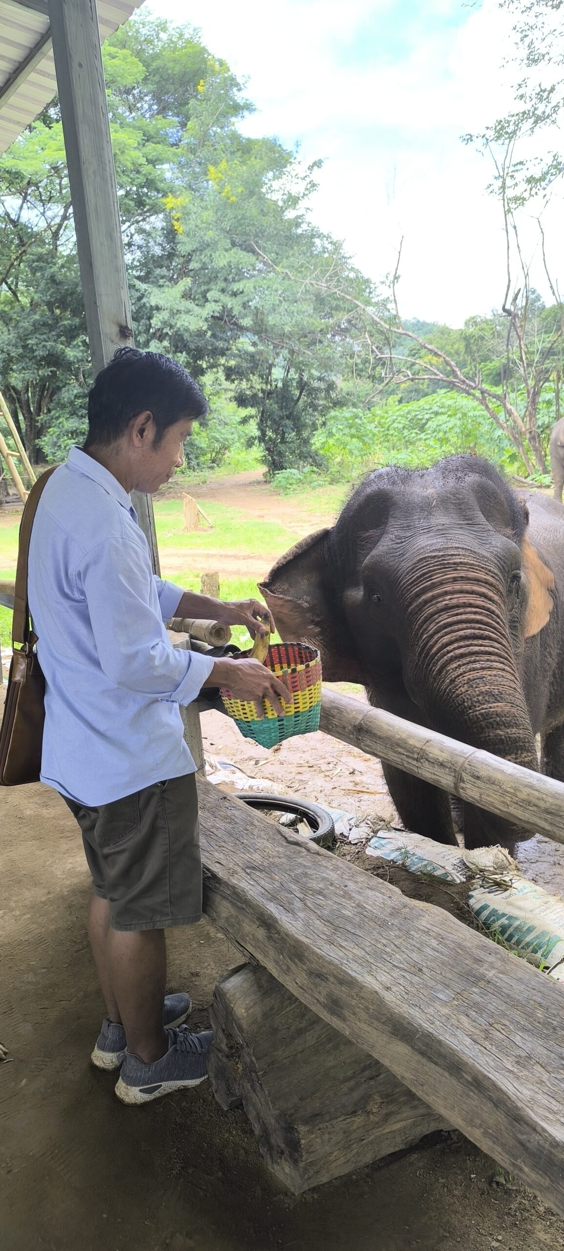 Chiang Mai Elephant Sanctuary & Sticky Waterfall Private Tour