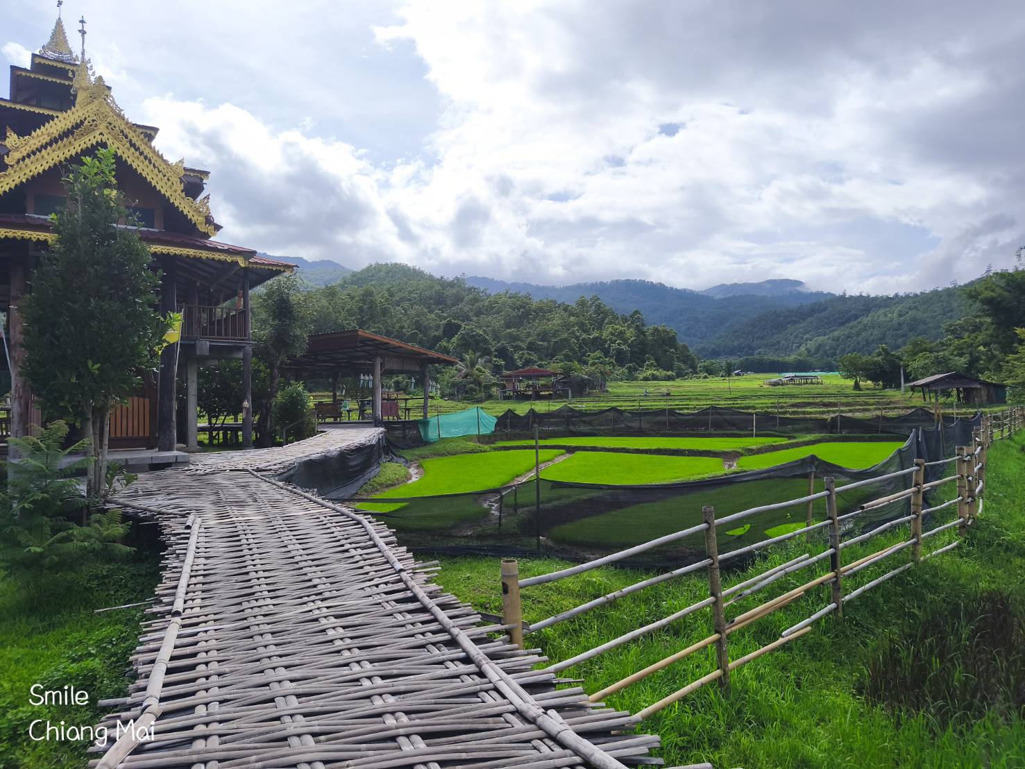 Private Tour 1 Kho Ku So Bamboo Bridge Pai – Elephant and Pai Tour