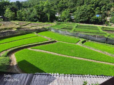 Things to Do in Pai, Thailand: A Local Guide to This Mountain Town 11 Kho Ku So Bamboo Bridge Walkway – Elephant and Pai Tour