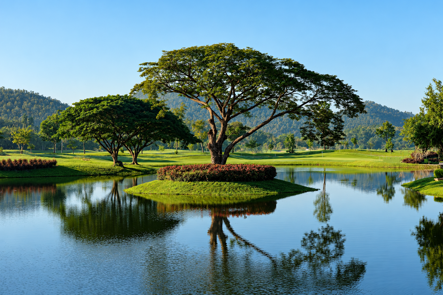 ทิวทัศน์สนามกอล์ฟท่ามกลางธรรมชาติ ทิวทัศน์สนามกอล์ฟท่ามกลางธรรมชาติ